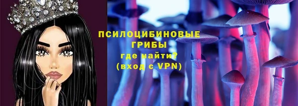 СК Киренск