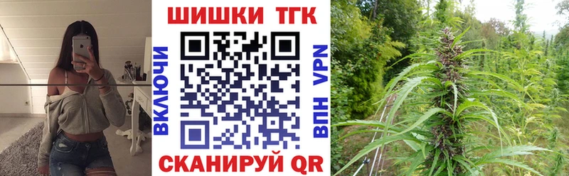 Купить где  Динская  Бошки Шишки OG Kush 